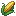 Кукурудза